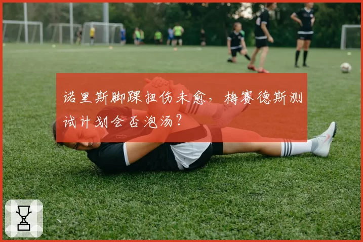 诺里斯脚踝扭伤未愈,梅赛德斯测试计划会否泡汤?