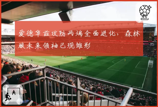 爱德华兹攻防两端全面进化,森林狼未来领袖已现雏形
