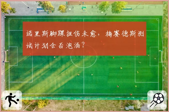 诺里斯脚踝扭伤未愈,梅赛德斯测试计划会否泡汤?