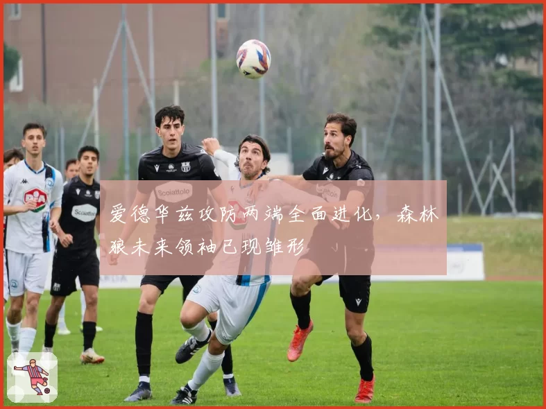 爱德华兹攻防两端全面进化，森林狼未来领袖已现雏形
