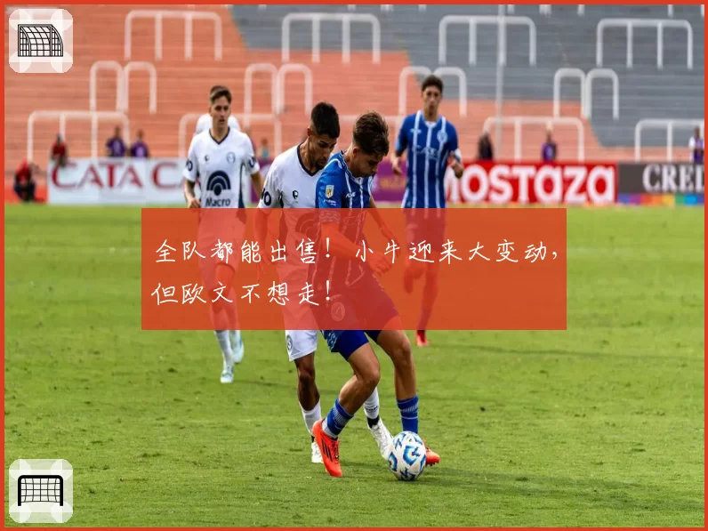 全队都能出售！小牛迎来大变动，但欧文不想走！